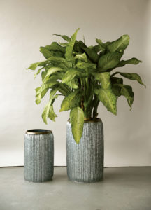 Corrugated Metal Planters