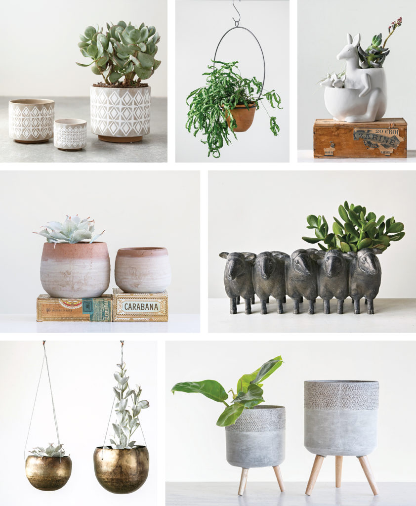 Indoor Plants – Containers