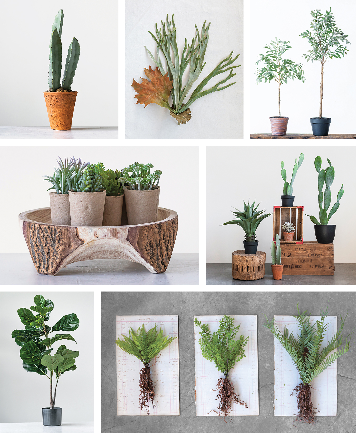 Indoor Plants-Faux Botanicals