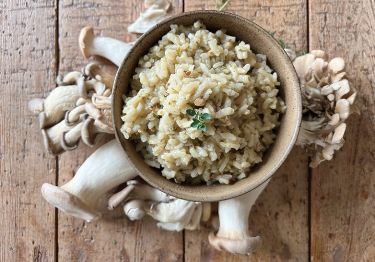 Porcini Mushroom Risotto Finch+Fennel by Creative CoOp